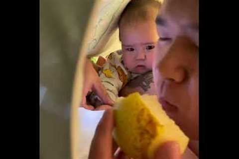 Baby has pure envy while watching dad eat a pear 😂