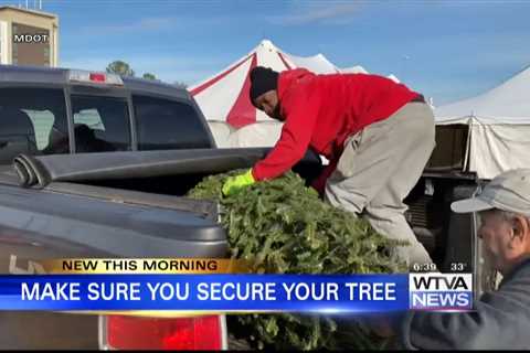 The Mississippi Department of Transportation wants to make sure your trees make it home