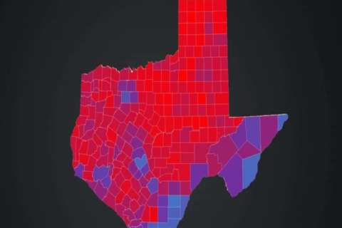 Exploring the Differences between Local and State Politics in Fort Bend County