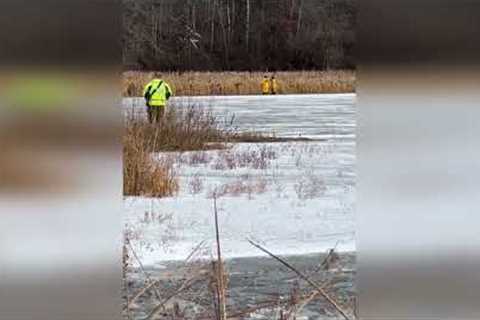 Firefighters Rescue Stranded Deer from Pike Lake Ice USA