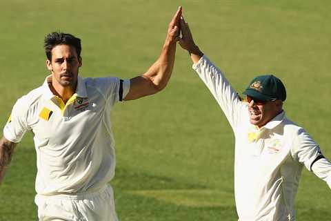 Mitchell Johnson reveals spark that ignited David Warner feud and takes aim at George Bailey over..