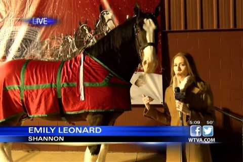 WTVA meets famous Budweiser Clydesdale – Part 2