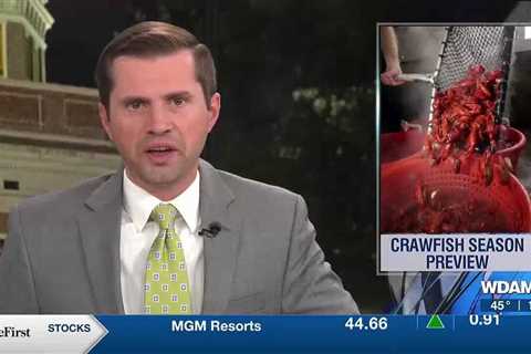 Summer heat impacting 2023-24 crawfish harvest