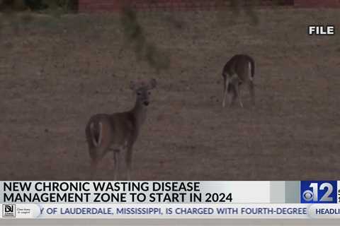 New Mississippi CWD management zone goes into effect in 2024