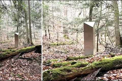 This Man Just Found A Giant Metal Monolith Buried In The Middle Of This Forest