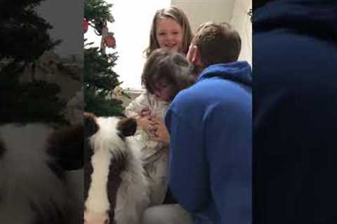 Toy Horse Terrifies Toddler