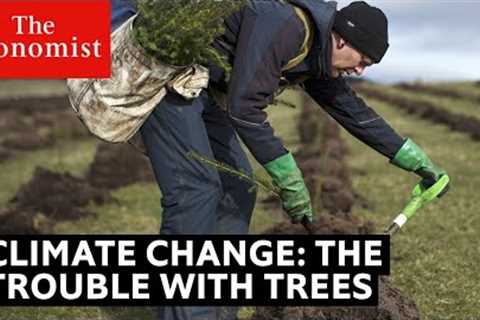 Climate change: the trouble with trees