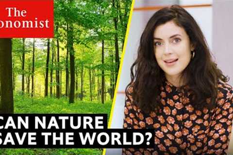 Climate Change: can nature repair the planet?