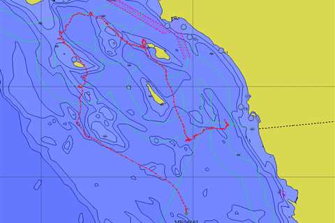 How orca sightings and the 52-foot whale beached in San Diego may be connected