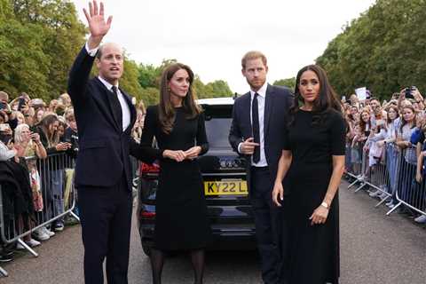 Prince William insisted on ‘awkward’ walkabout with Harry and Meghan after Queen’s death