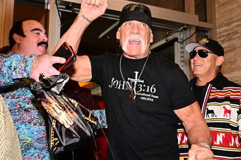 Hulk Hogan says he used pen to free girl from overturned car