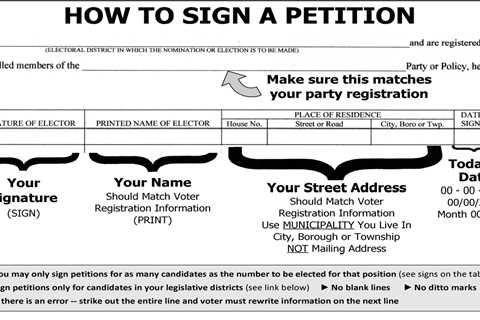 What Are Nomination Petitions? And Why Do They Matter?