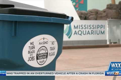 Mississippi Aquarium Mardi Gras bead recycling program