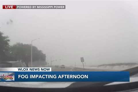 LIVE: Fog affecting afternoon travel on the Gulf Coast