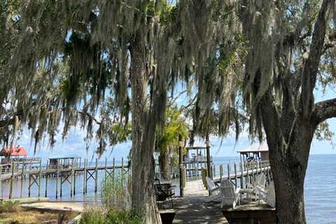 Preserving the Environment in Fairhope, Alabama: A Guide to Making a Difference