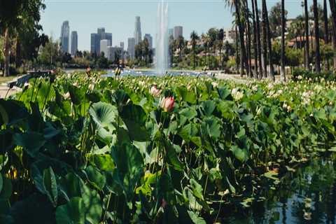 Exploring the Memorial Parks in Los Angeles County, CA: A Virtual Tour