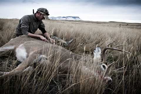 Possibility of Wildlife-to-Human Crossover Heightens Concern About Chronic Wasting Disease