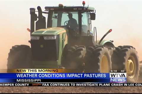 Weather conditions affect Mississippi pastures