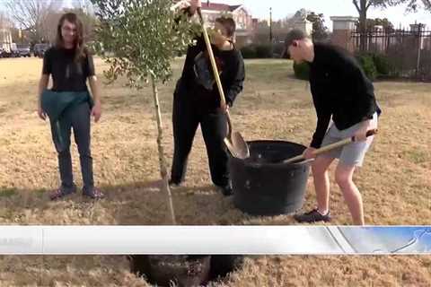 Southern Miss celebrated Arbor Day