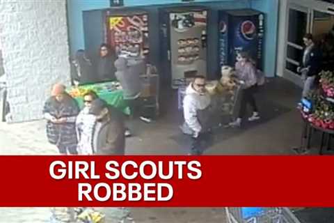 Robber steals money from Girl Scouts cookie stand