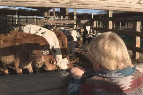 Urbo Crossing Creamery Dairy Farm opens in Newton County