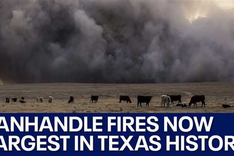 Texas Panhandle fire now largest in state history | FOX 7 Austin