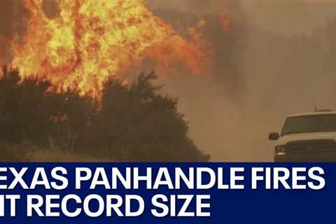 Texas Panhandle wildfire: Austin-area firefighters battle flames | FOX 7 Austin