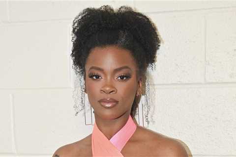 Don’t Play With Her! Ari Lennox Comes Close To Throwin’ Hands With A Fan (Video)