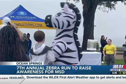 Ocean Springs hosts 7th annual Zebra Run to raise awareness for MSD