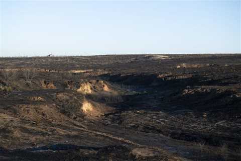 Texas volunteer firefighters were first to battle wildfire