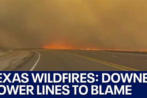 Texas Panhandle wildfire: Utility provider may have caused Smokehouse Creek Fire | FOX 7 Austin