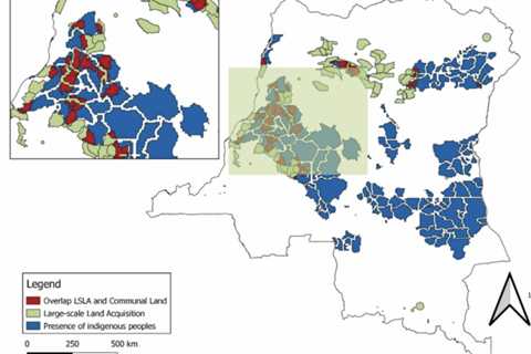 Loggers have ‘grabbed’ around 1m hectares of Indigenous land in DRC