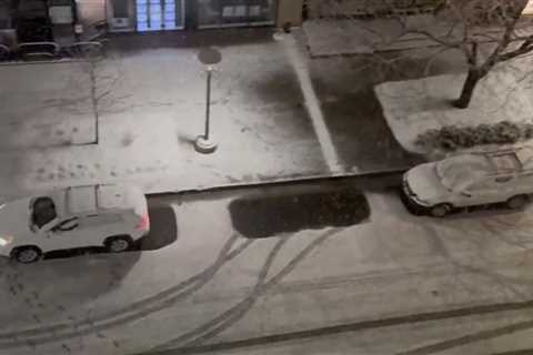 RAW VIDEO: Snow falling in Cherry Creek neighborhood of Denver