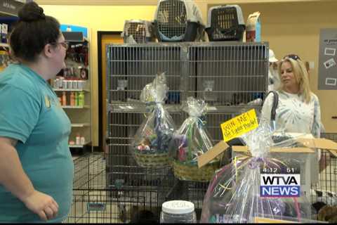 Amory Humane Society, PetSmart work together to connect potential best friends