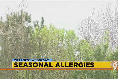 Wellness Wednesday: Seasonal Allergies