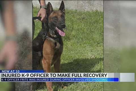 K-9 Officer injured in officer involved shooting