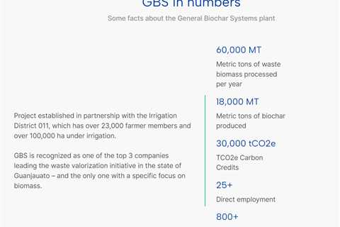 Microsoft to Purchase 95,000 Biochar Carbon Removal Credits from The Next 150