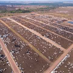 Guest post: How shifting diets away from beef could cut Brazil’s emissions