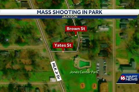 Birthday party ends in mass shooting