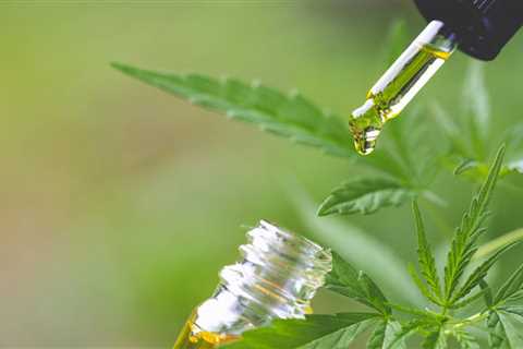 CBD for Chronic Pain Doesn’t Work, Large Review Finds