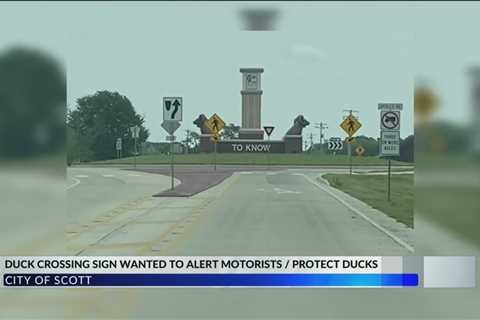 City of Scott explains removal of duck crossing sings