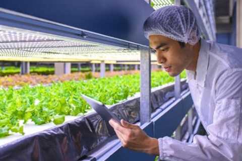 Controlled-Environment Agriculture: Cultivating the Future