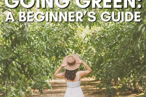 Going Green Beginner’s Guide: 10 Ways to Live an Eco-Friendly Lifestyle