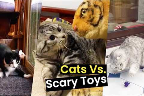 Cats Vs. Scary Toys