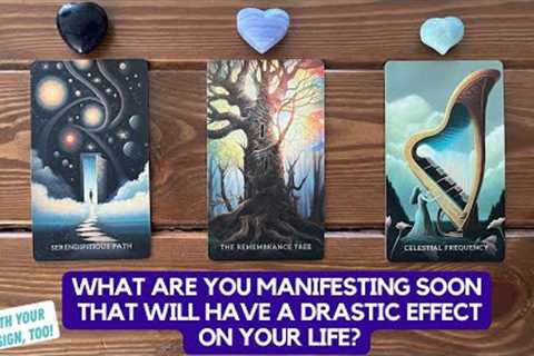 What Are You Manifesting Soon That Will Have a Drastic Effect on Your Life? | Timeless Reading