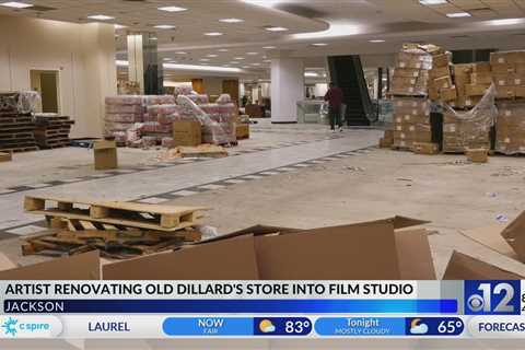 Artist turning old Dillard’s into film studio