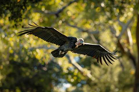 Ugly species need biodiversity protection too