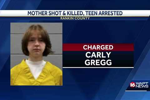 Bond set at $1M for teen charged in mother's murder