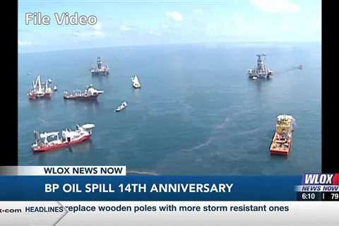 BP Oil Spill: Where does the coast stand 14 years later?