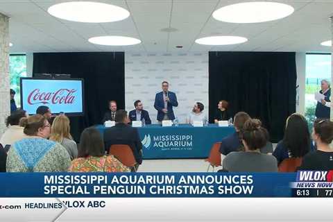 Mississippi Aquarium announces special penguin Christmas multimedia show